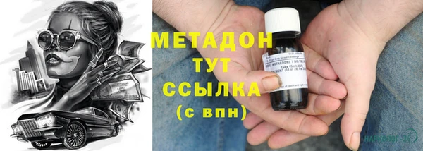 ПСИЛОЦИБИНОВЫЕ ГРИБЫ Горно-Алтайск