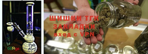 spice Вяземский