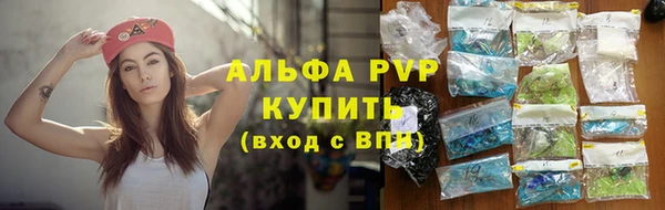 spice Вяземский