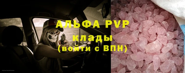 крисы Вязьма