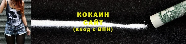 ПСИЛОЦИБИНОВЫЕ ГРИБЫ Горно-Алтайск