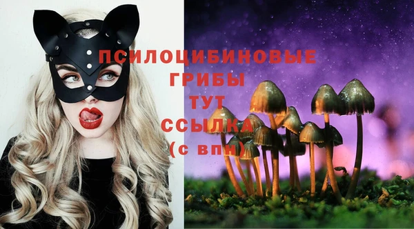 ПСИЛОЦИБИНОВЫЕ ГРИБЫ Горно-Алтайск