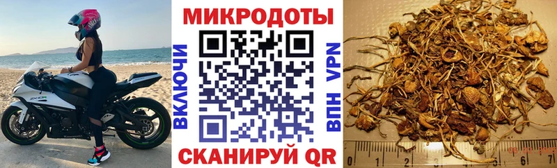 Галлюциногенные грибы мицелий  мега зеркало  Жиздра  купить наркотик 
